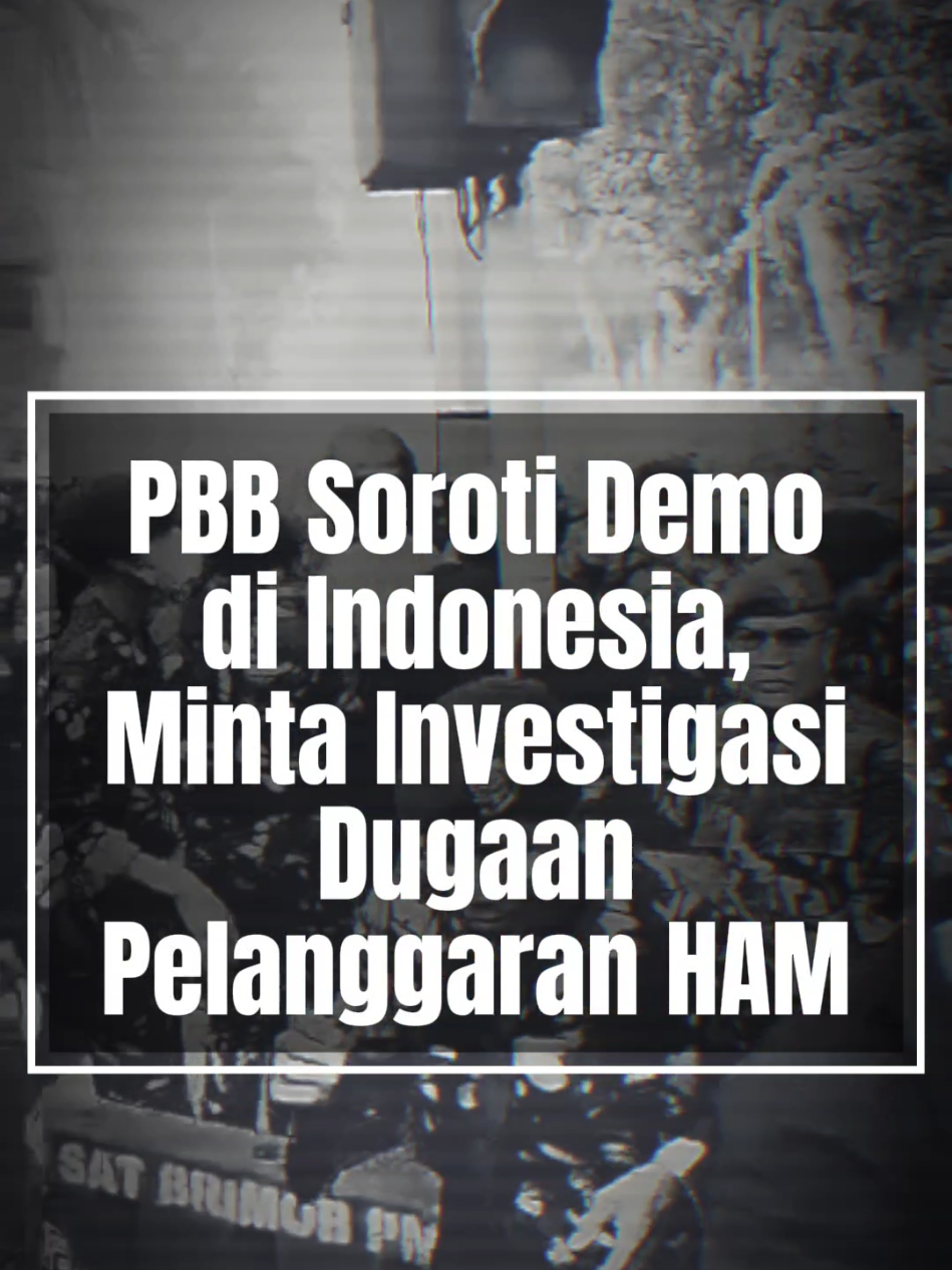 PBB soroti demo di Indonesia, minta Investigasi dugaan pelanggaran HAM. #ham #demo #pbb #unitednation #unitednationshumanrights 