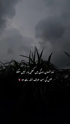 Beshak 🤍🙌🏻__’’ #hehe_daniii #iconicmishi #fyp #foryouu #foryoupage 
