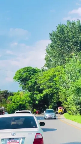 Tree tunel swat❤️