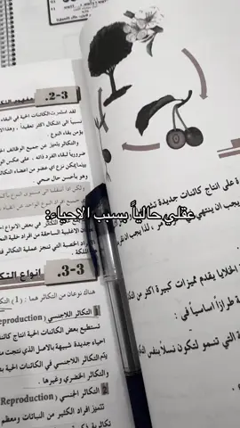 شنهاي يما😔😂#foryoupage #foryou #explore #fyp #اكسبلور 