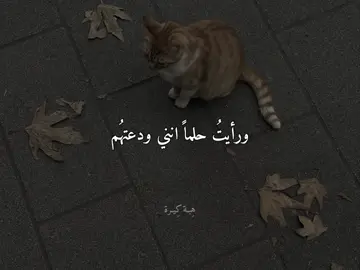 #هِبـة_كِيرة #بدون_موسيقى 