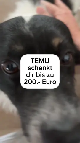 hast du schon mal bei Temu was bestellt und findest du die Sachen gut? Wie wär’s wenn du von Timo nicht nur bis 200 € geschenkt bekommst zum einkaufen sondern auch Provision verdienst wenn deine Freunde bei Temu einkaufen? Nutz meinen Link, melde dich als Influencer bei Temu an kassiere bis zu 200 € Einkaufsgutschein und jede Menge Provisionen, wenn deine Freunde über deinen Link bei Temu einkaufen #Temu #Shopping #Influencer #Affiliate #FinanzTipp