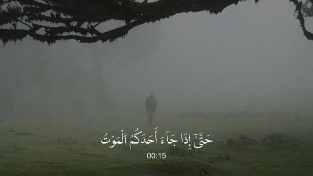 الأنعام - #بندر_بليلة 