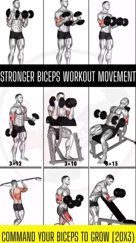 command your biceps to grow💪#workout #tips #LIVEIncentiveProgram #MyLIVEJourney #PaidPartnership 