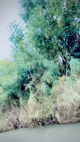 #picnicpoint #unfrezzmyaccount #پشتون_تاجیک_هزاره_ازبک_زنده_باد #dontunderreviewmyvideo #viralvideo #foryoupage #zhob_balochistan @🍁 باغی 🦅 @UMARO ♥️♥️Nadan🔥🔥 @ASiM mandokhail 🌙 @abdul zahir 