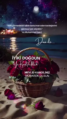 Hayırlı Kandiller diliyorum🤲🏼🤍🕊️ #hayirlikandiller #mevlidkandili #kandilinizmübarekolsun #duaile #dualardabuluşalım 
