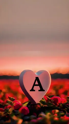 #CapCut #fpyツviral🖤tiktok🦋 #fpyシ❥tiktok🖤🌹 #fpyシviral #fpyツviral🖤tiktok🦋 