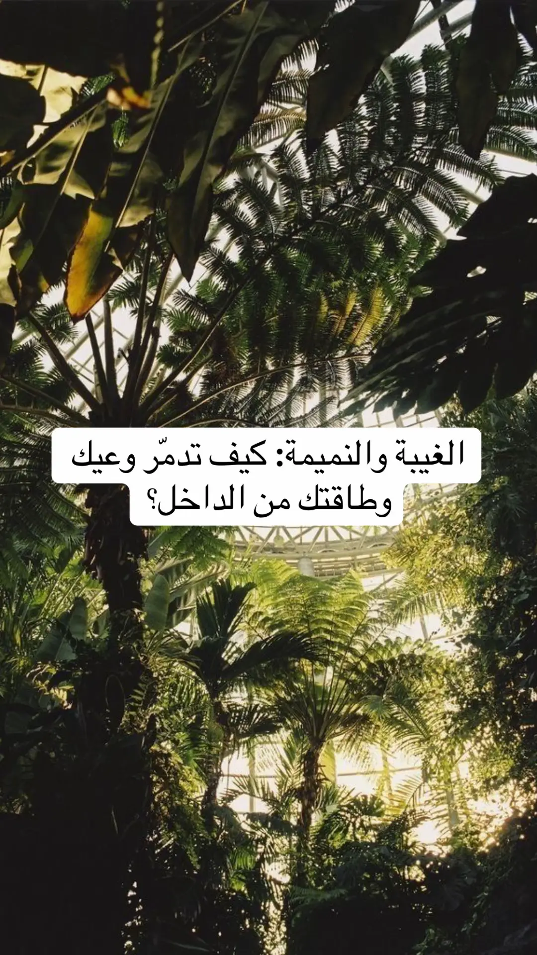 #وعي #حب #تقبل #توازن #حياة 