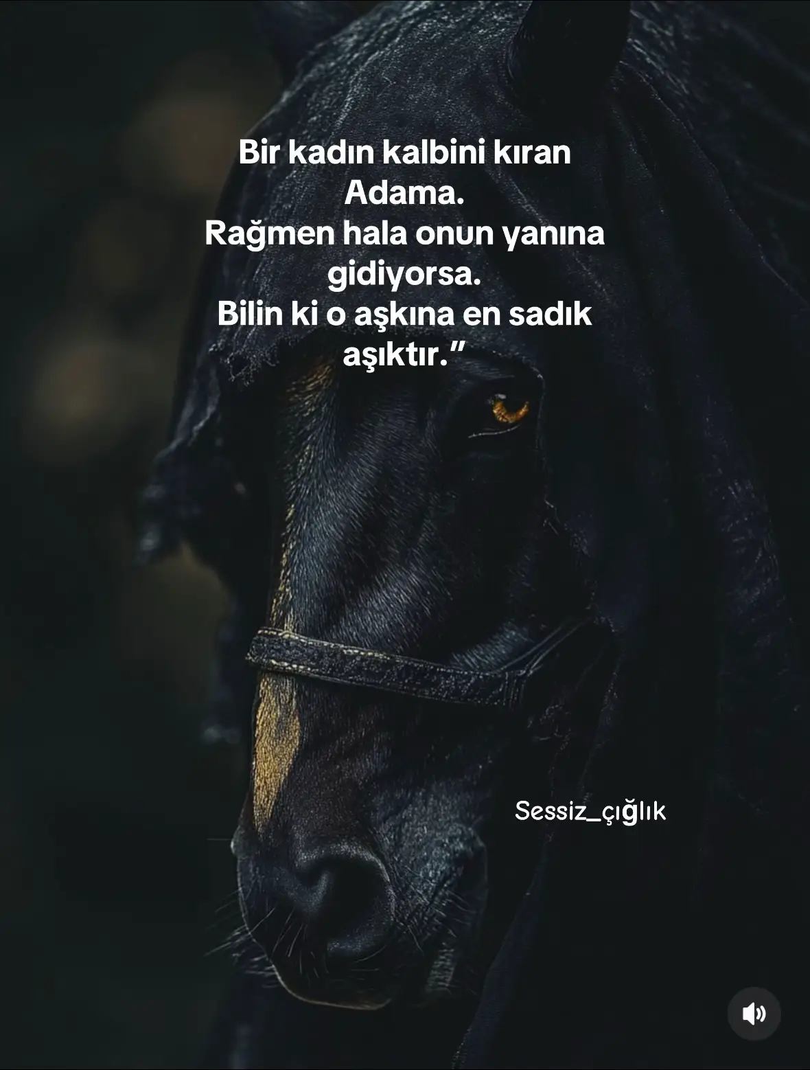 #viralvideos #keşfetbeniöneçıkar #keşfetteyizzz 