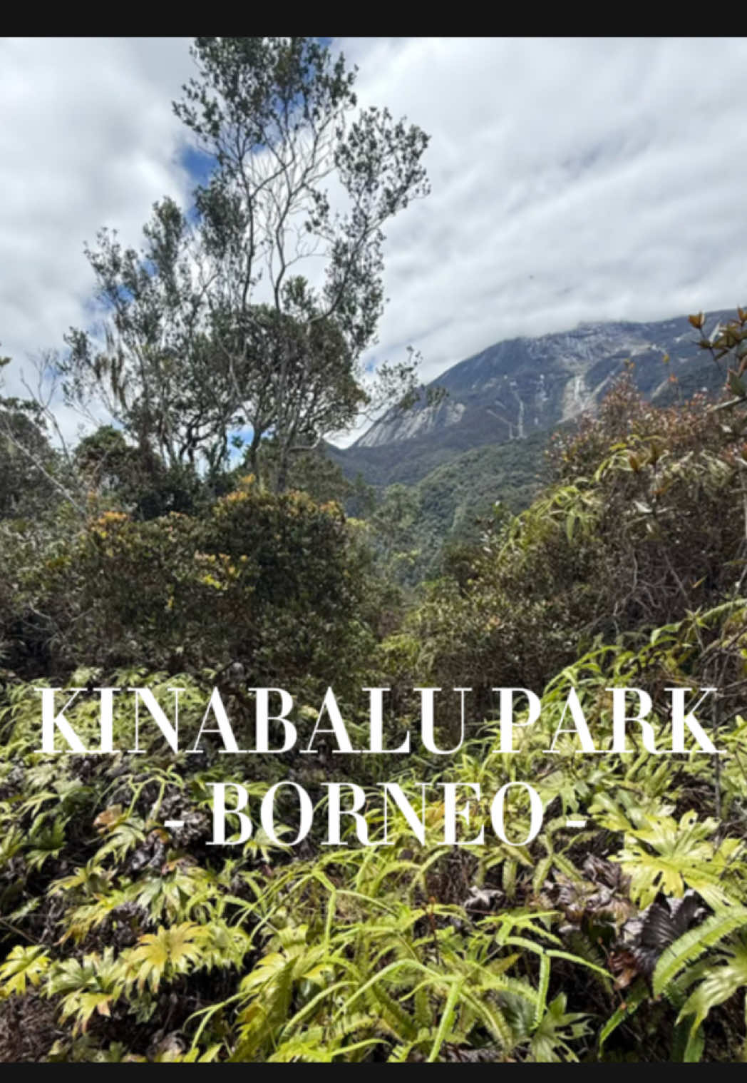 Couldn’t climb the mountain so decided to explore around its base instead 🍃 #kotakinabalu #mountkinabalu #kinabalupark #borneo #sabah 