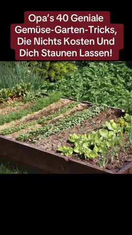 Opa’s 40 Geniale Gemüse-Garten-Tricks, Die Nichts Kosten Und Dich Staunen Lassen! T5