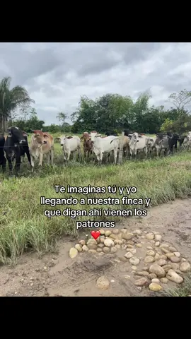 Metas por cumplir juntos 🙌🏻❣️🧸@𝓓𝓪𝓷𝓲𝓮𝓿𝓲𝓵𝓵𝓪𝓼𝓶𝓲𝓵 