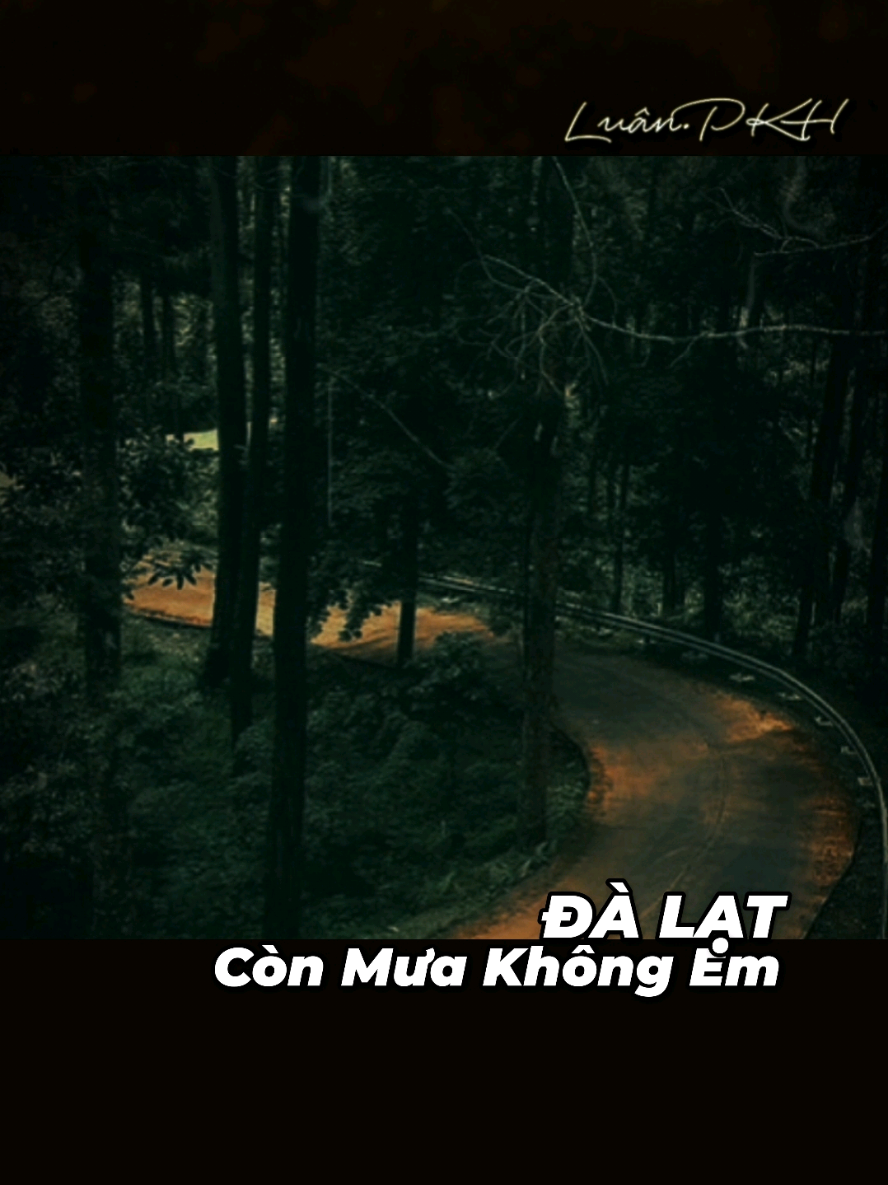 Đà lạt vẫn vẫn còn mưa đó anh...Giờ chỉ cần ai chạm khẽ, bàn tay cũng sẽ phai phôi.@EditByLuanPKH @EditByLuanPKH @EditByLuanPKH #EditByLuanPKH  #dalatconmuakhongem #dalat #mua 
