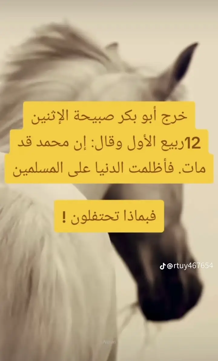 #تفاعل #العلماء_المسلمين #الشعب_الصيني_ماله_حل #وا_على_رسول_الله🤲🕋_على_رسول_الله #مكة_المكرمة 