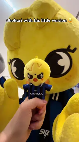 Bbokari is the cutest bird alive… I don’t make the rules ! 🫡 #skz #skzoo #bbokari #straykids #korea 