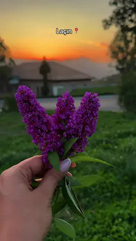 Videonu beyenmeyi unutmayin 💜  #041 #laçın #fypシ゚ #keşfetteyizzz #nature 