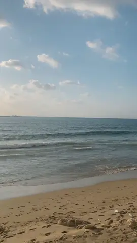 #هاني_شاكر#اكسبلور 