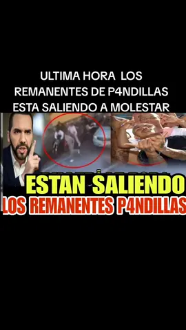 #noticiaselsalvador  #elsalvadornotciastcias  #seguridadelsalvador  #nayibbukelepresidente  #elsalvador 