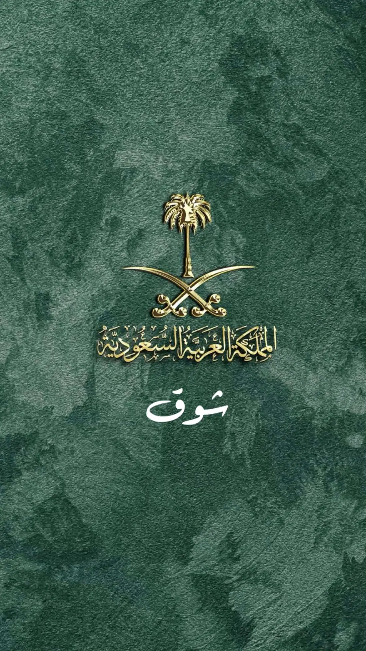#يوم_الوطني #الوطن #المملكة_العربية_السعودية #احتفال #محمد_بن_سلمان_حبيب_الشعب 