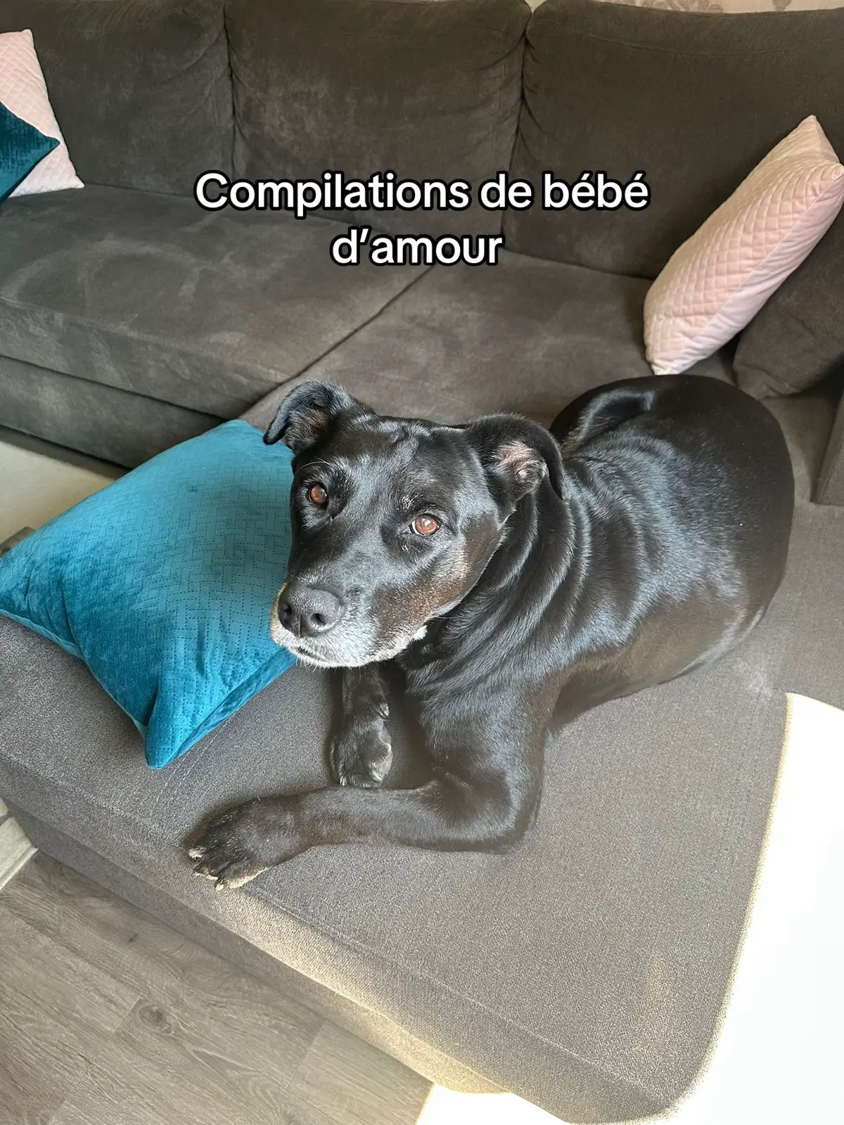 Envoyez vos bébés d’amours aussi ! #pour?toi?page? #fyp 