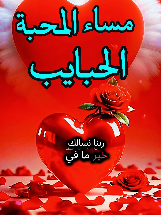 #مساء_المحبة_الحبايب #فيرال_فيديوفوريو #❤️❤️❤️❤️❤️❤️ 
