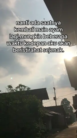 stock video menipis #promomakangajian #bkklasikmemangasik #peternakmuda #farmlife #bangkokthailand 
