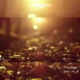 #رضا_حليس_الرويلي #شعراء_وذواقين_الشعر #اكسبلورexplore  