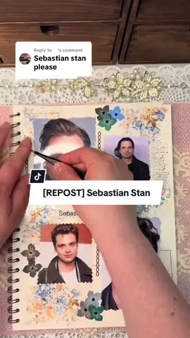 Replying to @️ [REPOST] Sebastian Stan ✨  #sebastianstan #fyp #celebrities #journaling #asmrsounds 