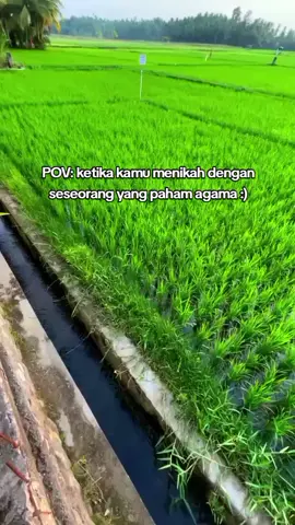 perempuan adalah madrasah pertama bagi anak anaknya #fyp #anakbelajarngaji 