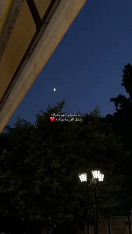يارب يخلي ضحكاته ✨ #فضل_شاكر #اكسبلور #explore #تصويري #ترند 