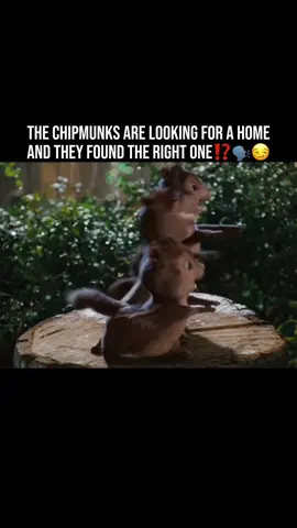 #alvin#simon#theodore#chipmunks#foryou 