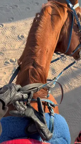 #الامارات_العربية_المتحده🇦🇪 