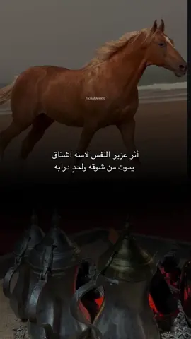 أثر عزيز النفس لامنه اشتاق #تصميمي #fyp #explore #خيل #مالي_خلق_احط_هاشتاقات 