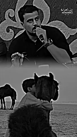 تفاعلكم نستمر ❤️ 👌🏻  #شعر_ليبي_شتاوي_غناوي  #شتاوي_وغناوي_علم_ع_الفاهق❤🔥  #ولد_العوامه🔥✈️ 