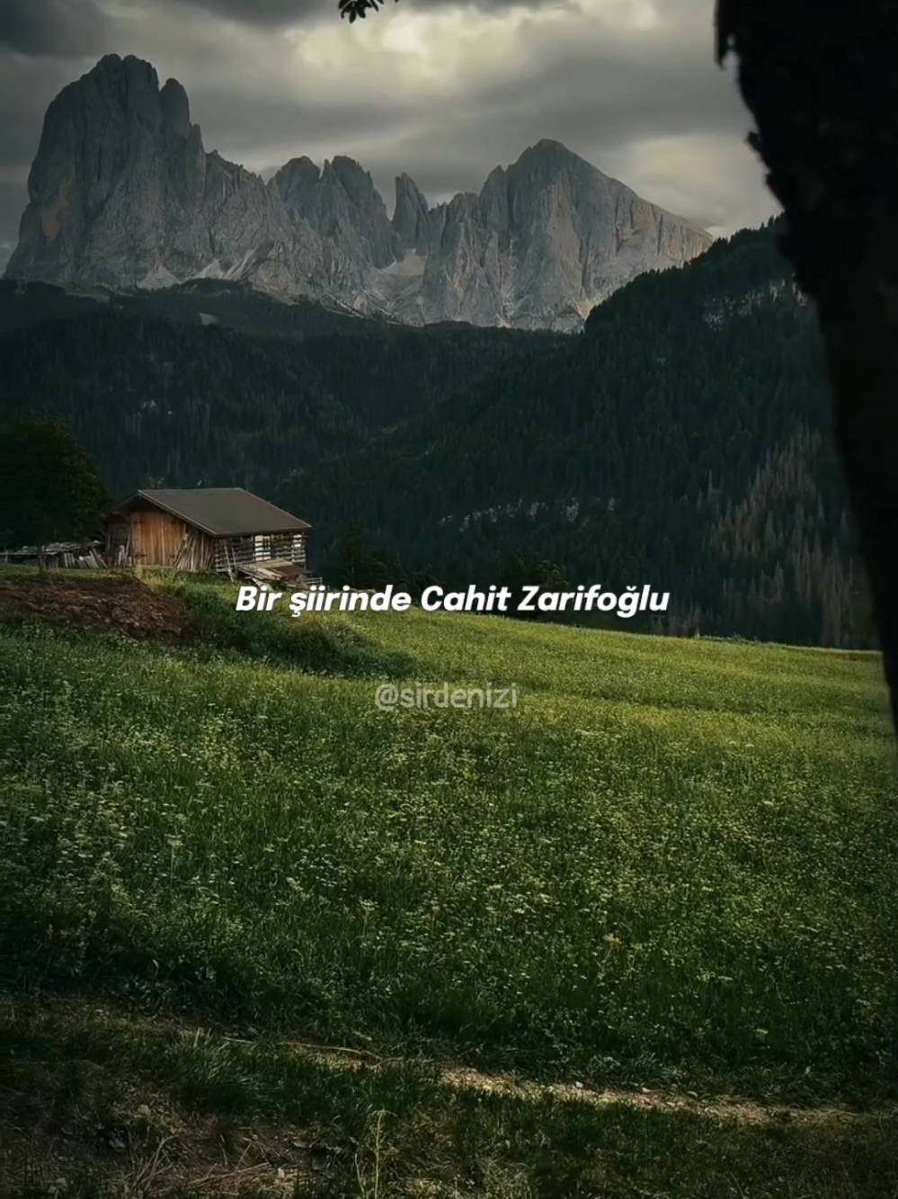 Özlemek, kalbin en sessiz feryadıdır. Zamanı bile diz çöktüren bir bekleyiştir. Gözlerin görmediğini, yürek her nefeste görür. Bir adın dudaklarda susar, bir hayalin gecelerde uyanık kalır. Özlemek; ne yanındayken biten bir yolculuk, ne de uzaklıkla tükenen bir duygudur. O, hep kalpte kanayan ince bir şiirdir. 🌊 Eğer bu satırlar ruhunuza dokunduysa, kelimelerin kıyısında buluşmak için takipte kalın @sirdenizi 🎙️ Seslendirme: erhan keklikk #erhankeklik  #siir #seslendirmesanatçısı #alıntı #şiirsokakta 