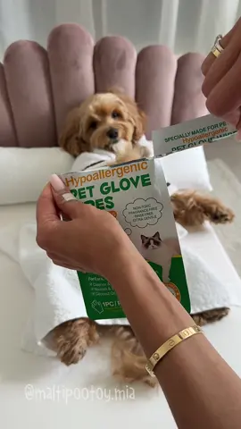 Secondo voi, mi è piaciuto? 🧖 #dogspa 