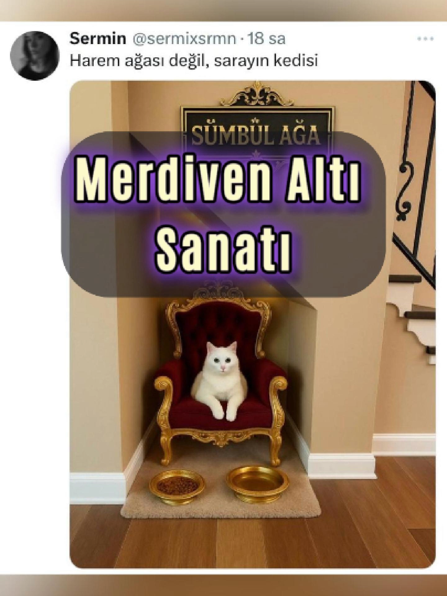 Bu merdiven altına gelen en iyi fikir hangisi? 😂 Park eden mi, kütüphane yapan mı, yoksa kedisine saray yapan mı? Yorumları alalım! 👇 #keşfet #fyp #viral #dekorasyon #dekorasyonfikirleri #dekorasyonönerileri #evdekorasyonu #merdivenaltı #pratikçözümler #akım #mizah #komik #twitter #sizce #shaskaloz