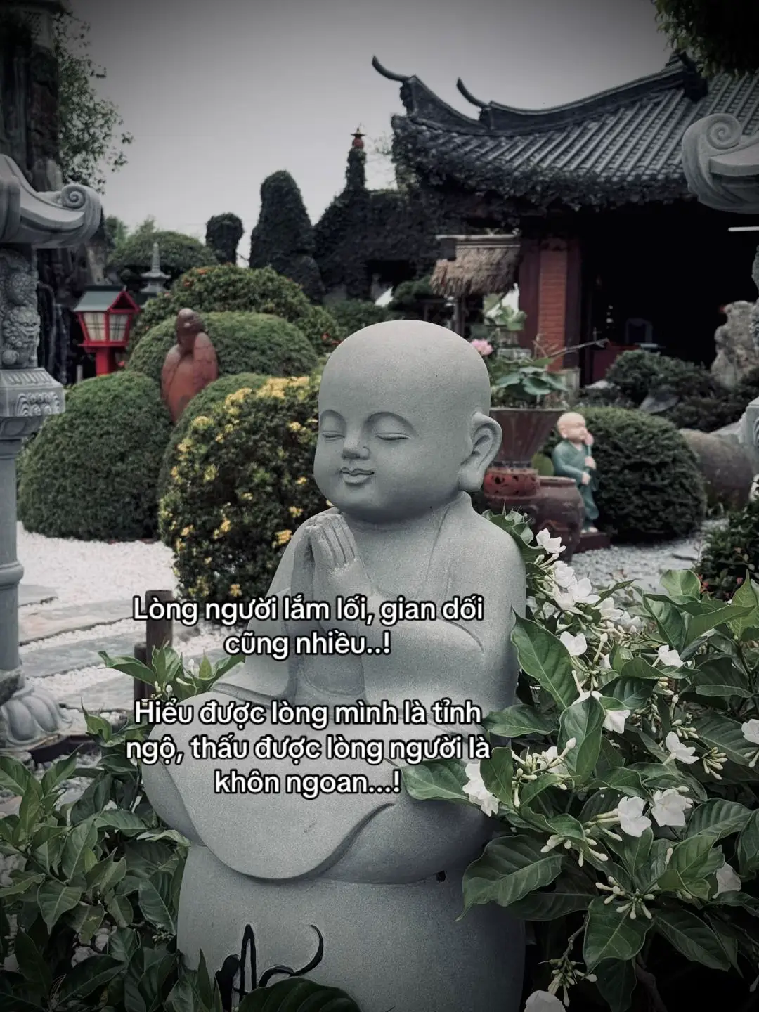 人心百计，谎言也百出……！ 懂己心是觉醒，懂人心是智慧……！#tanh08_ #tamtrang #story #sttdoi 