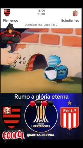 #flamengo #racarubronegra♥️🖤 #viraltiktok #forcajovemflamengo #viralvideos 