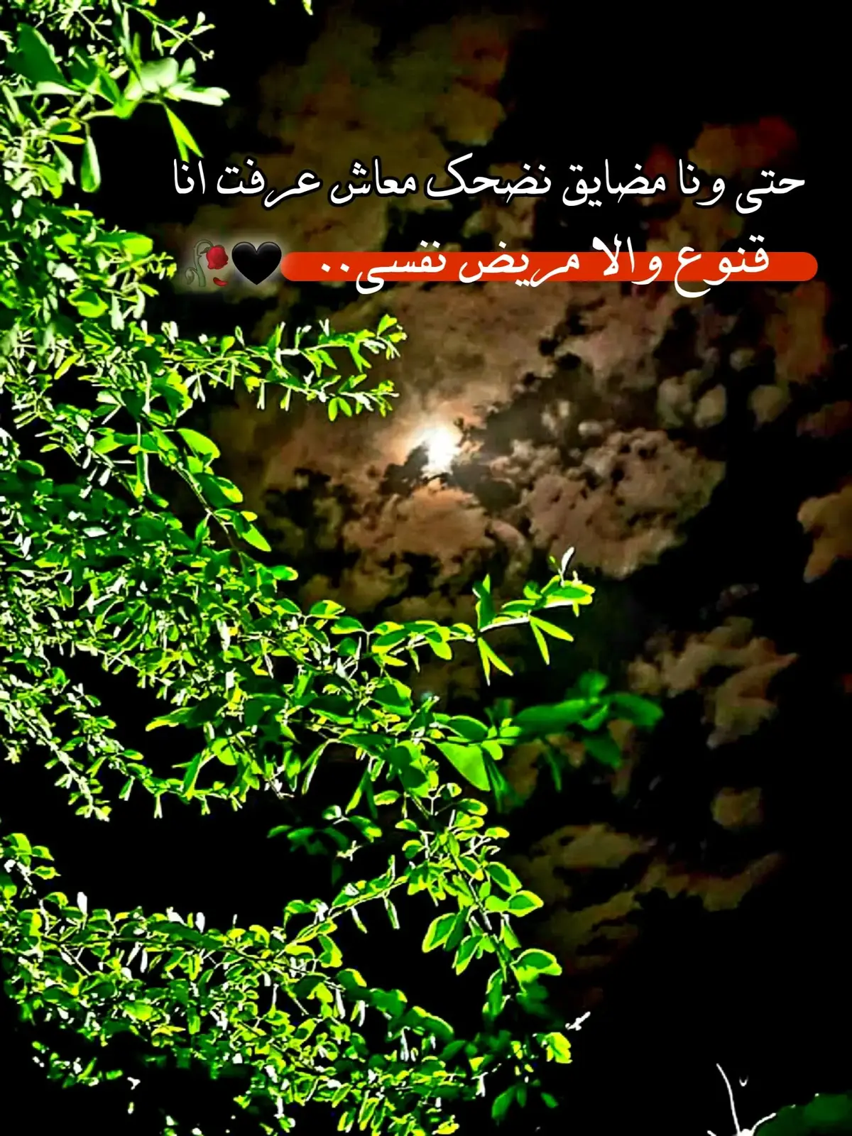 #مصمم_فيديوهات🎬🎵 #pov #متابعه #ليبيا_طرابلس_مصر_تونس_المغرب_الخليج #fyppppppppppppppppppppppp 