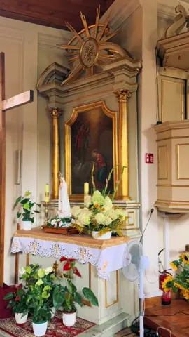Wnętrze Kościoła Zwiastowania Najświętszej Maryi Panny w Pleckej Dąbrowie. w ołtarzu głównym znajduje się późnogotycka rzeźba Matki Bożej z Dzieciątkiem z początku XV w zasłaniana obrazem Św Józefa z drugiej połowy XVIII w. W dwóch ołtarzach bocznych znajdują się obrazy przedstawiające Zwiastowane Najswietszej Maryi Panny oraz Św Barbary z przełomu XVIII - IXX w. Chrześnica i kropielnica z XVIII w oraz inne zabytkowe przedmioty religijne, krzyż, monstrancja itp.