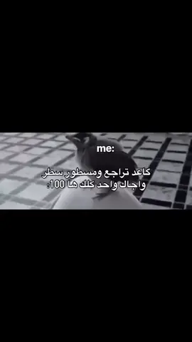 🙂🔫#الحب #الشعب_الصيني_ماله_حل😂😂 #دراسه #تيم_ملوك_العالم 