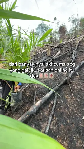 #sawitontiktok #sawitindonesia🇮🇩 #petanimuda #pyftiktok #gajian 