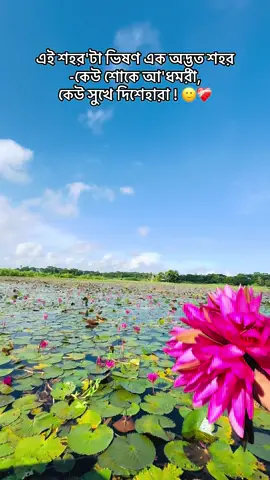 আমরা কেনো শুধু তাদেরকেই ভালবাসি যারা কখনোই আমাদের হবে না! 🖤😔#foryou #fyp #tiktokviral #cap #viral 