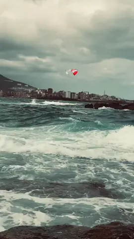 #الجزائر🇩🇿 