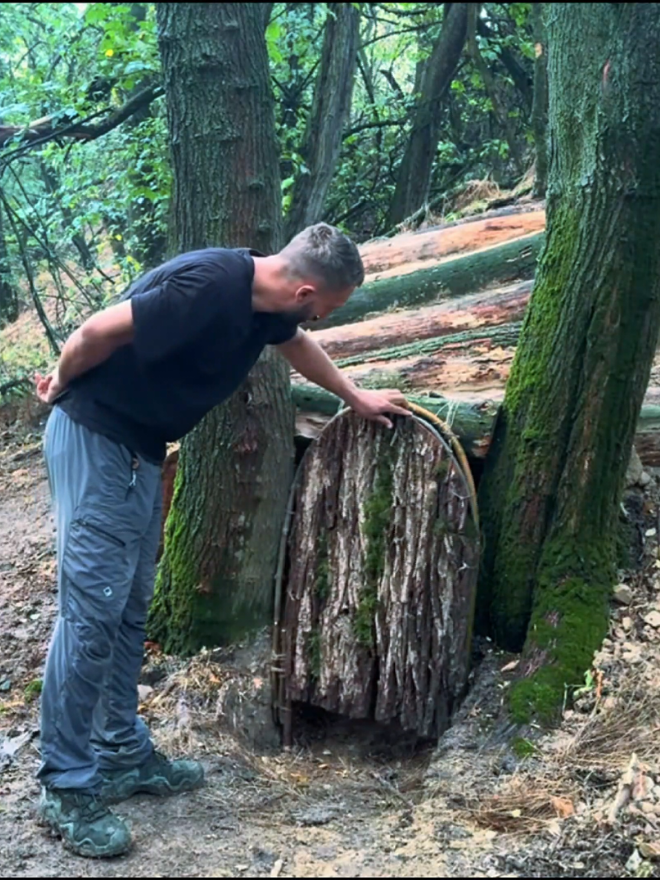 How I built a safe haven naturally #camping #survival #Outdoors #2025 #viralvideos 