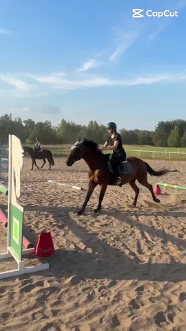 Koń cudo 👌🫶🏻 #dc #fyp #horse #dlaciebie #horsejumping 