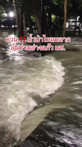 ด่วน ‼️  น้ำป่าไหลหลาก ทำน้ำล้นอ่างแก้ว มช. ทะลักท่วมภายในบริเวณมหาวิทยาลัย ขอให้ ปชช.ในพื้นที่เฝ้าระวัง ติดตามสถานการณ์อย่างใกล้ชิด   . ขอบคุณคลิป : Kachen Kachenpol  . #เชียงใหม่นิวส์ #chiangmainews #เชียงใหม่ #อ่างแก้วมช #อ่างแก้ว #น้ำป่า #chiangmai  #tiktok #tiktok  #tiktoknews 