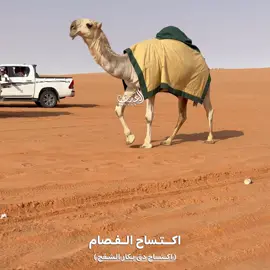 البكره الي مقفله مركزها من قبل الشوط⏳. #اكتساح_الشقح #اكتساح_الفصام #اكسبلور #اكسبلور_تيك_توك #الفصام_الدوسري 