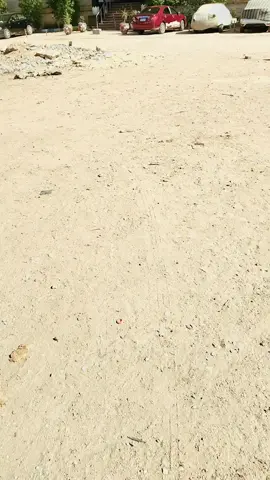 والله بجد انا تعب من الشغلانه ده